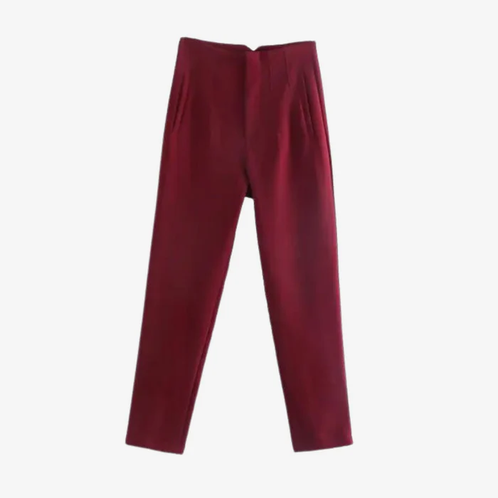 Pantalones de vestir para mujer - Kit con descuento 