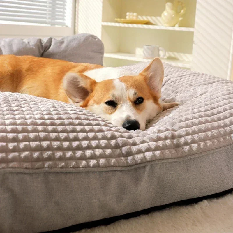 Cama para pet